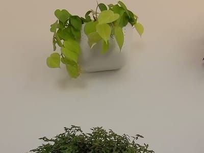 Evergreen - Coffee Shop + Boutique Hotel