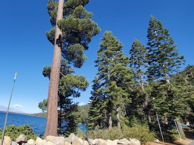 Fallen Leaf Lake Store