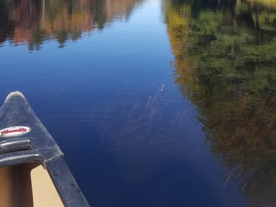 Fastrac Properties II