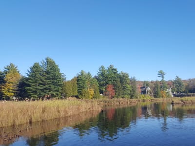 Fastrac Properties II