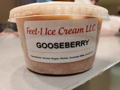 Feel I's Vegan Ice Cream