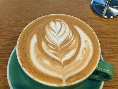 Fiddlehead Coffee - Bloomington