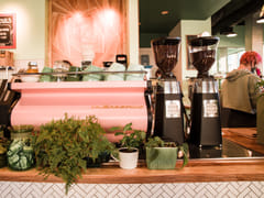 Fiddlehead Coffee - Bloomington