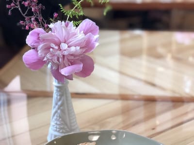 Fiddlehead Coffee - Miracle Mile