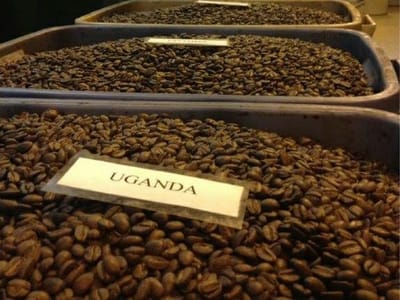 Finger Lakes Coffee Roasters Office