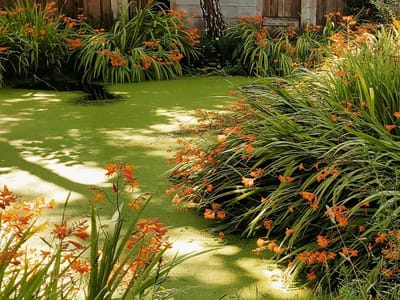 Finnish Country Sauna & Tubs