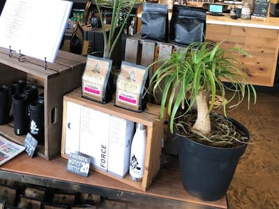 Firecreek Coffee - Cottonwood