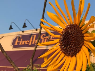 Firefly Coffee House