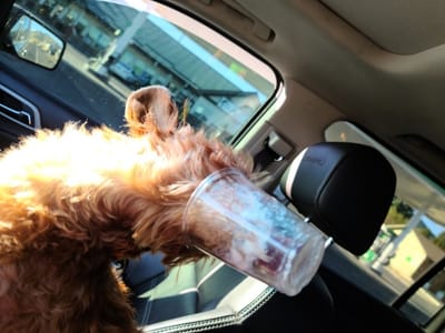 Florence Coffee Company