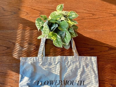 Flowermouth Coffee Roaster