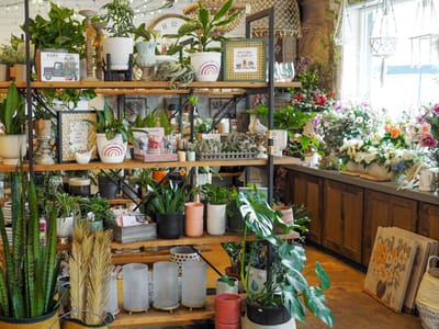 Flowers Decor & More...