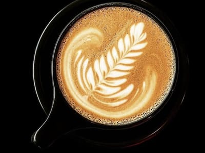 FLUID Coffee Roasters