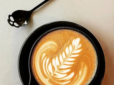 FLUID Coffee Roasters