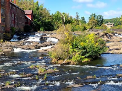 Flying Crow Coffee Co.