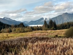 Flying Squirrel Espresso