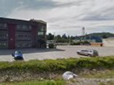 Flying Squirrel Espresso