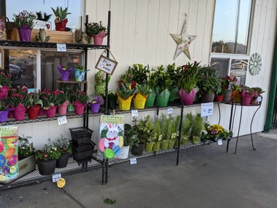 Forks Outfitters Thriftway and Ace Hardware