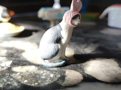 Four Letter Word Coffee