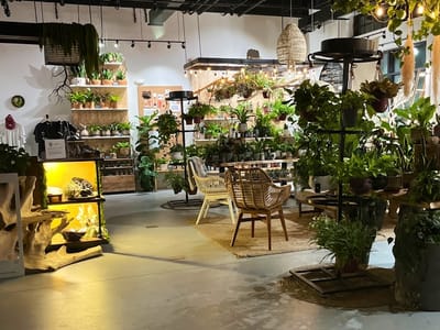 Foxtail Coffee - Downtown Winter Garden