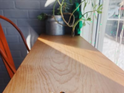 Frannie’s mini donuts