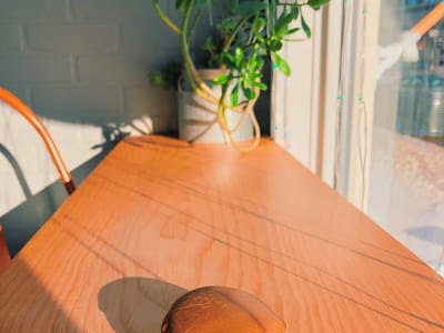 Frannie’s mini donuts