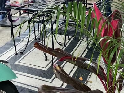 Friendship Coffee Company