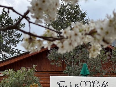 Frio Coffee Leakey Location