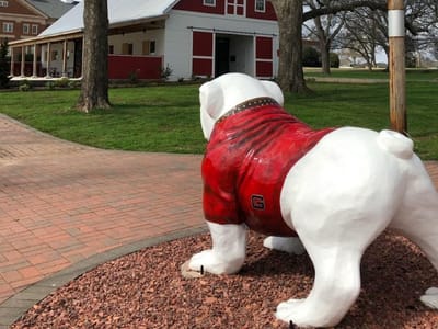 From the Farm @ The Dundee Cafe