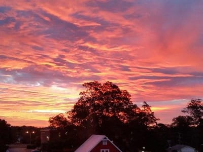 From the Farm @ The Dundee Cafe