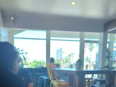 Froth Coffee Roasters