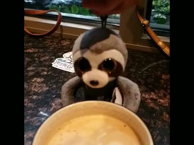 Ft Collins Coffeehouse