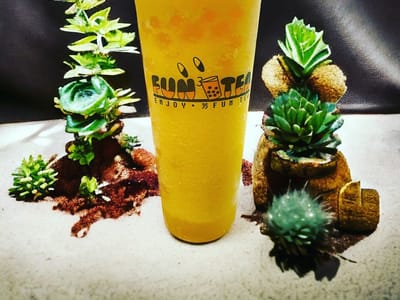Fun Boba Tea