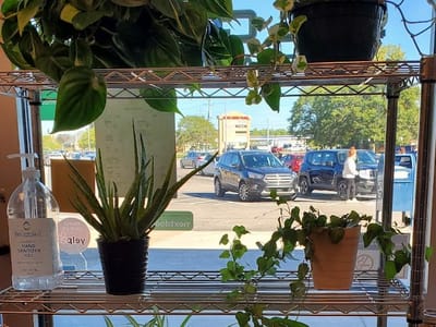 Gaia Cafe and Botanical