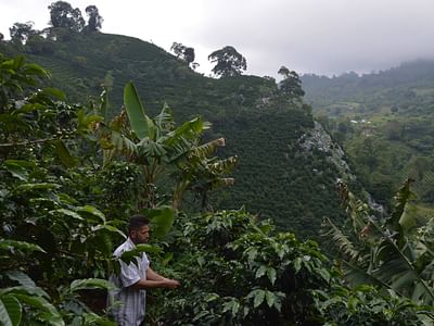 Garden Coffee Co. Roastery