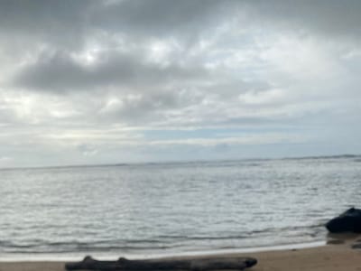 Garden Island Coffee