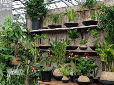 Garden of Eatin' Cafe