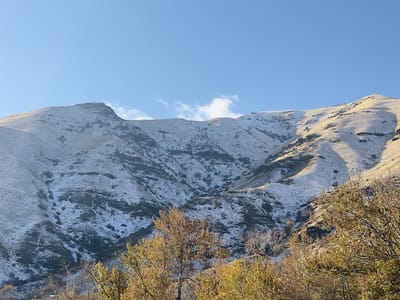 Gateway Store & Cafe