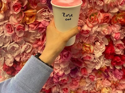 Gelateria & Espresso Bar