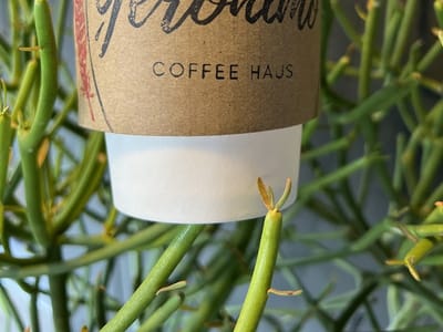 Geronimo Coffee Haus