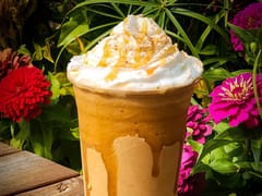 Ghostland Grind Espresso