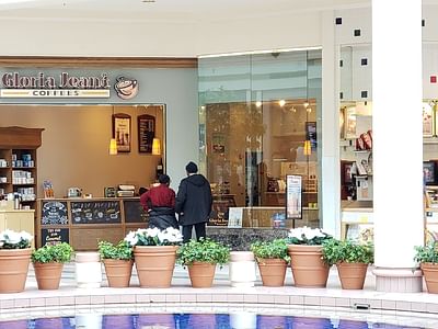 Gloria Jean's Coffees