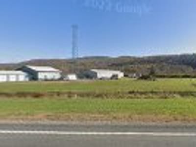 Golden Mouth Roastery