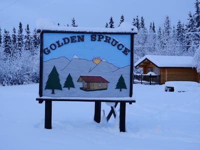 Golden Spruce Lodging
