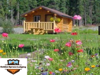 Golden Spruce Lodging