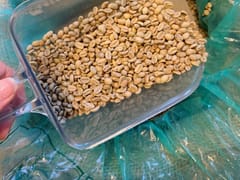 Goldie's Coffee Roasters