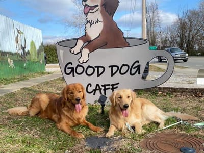 Good Dog Cafe