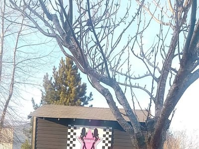 Grabajava Espresso All Star Girls