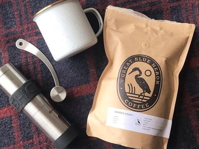 Great Blue Heron Outdoors