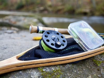 Great Blue Heron Outdoors