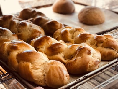 Great Harvest Bread Co.